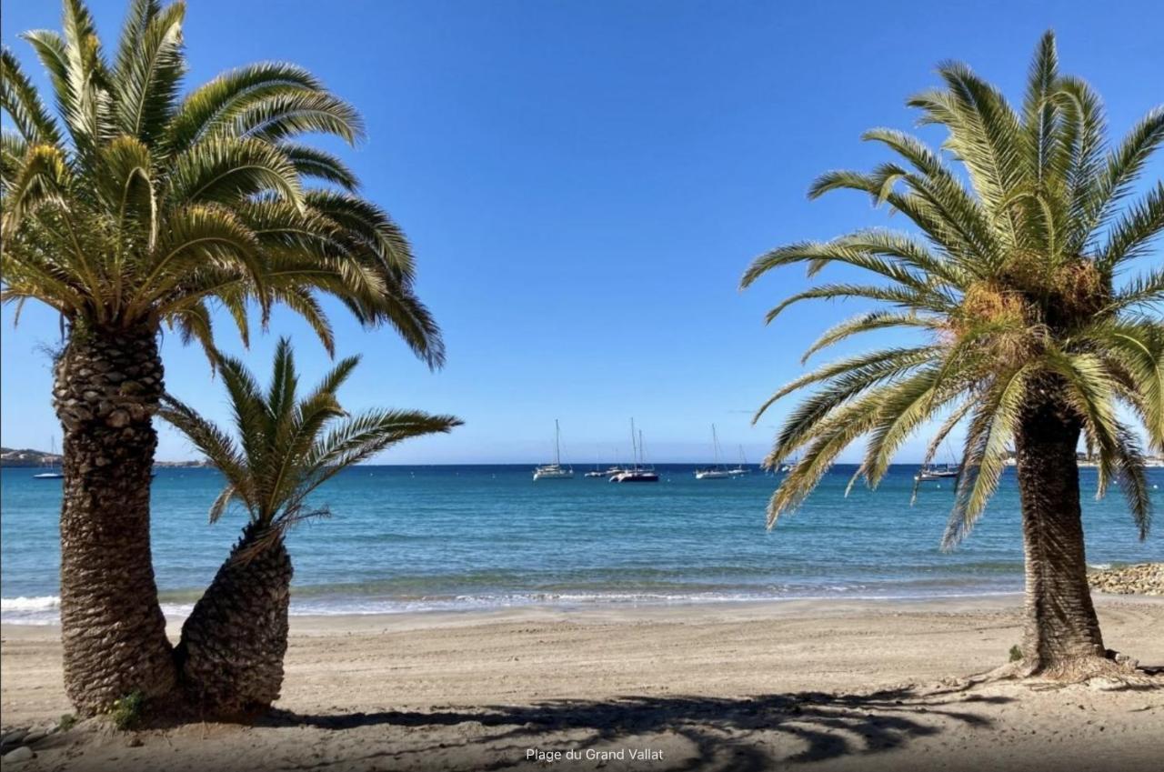 Bandol: Elegant Et Cosy 2 Pieces, Proche Ville Et Plage Dış mekan fotoğraf